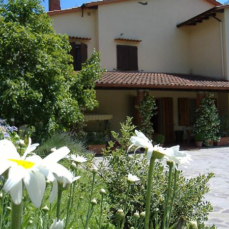 Maison d'hôtes Da Ronald ... A Pian Del Papa à Pratovecchio Extérieur photo