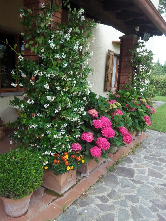 Maison d'hôtes Da Ronald ... A Pian Del Papa à Pratovecchio Extérieur photo
