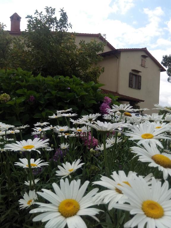 Maison d'hôtes Da Ronald ... A Pian Del Papa à Pratovecchio Extérieur photo